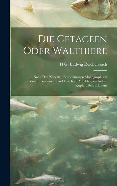 Die Cetaceen oder Walthiere Die Cetaceen oder Walthiere