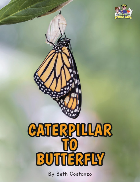 Letter C - Caterpillar to Butterfly for Kids 3-8 Letter C - Caterpillar to Butterfly for Kids 3-8
