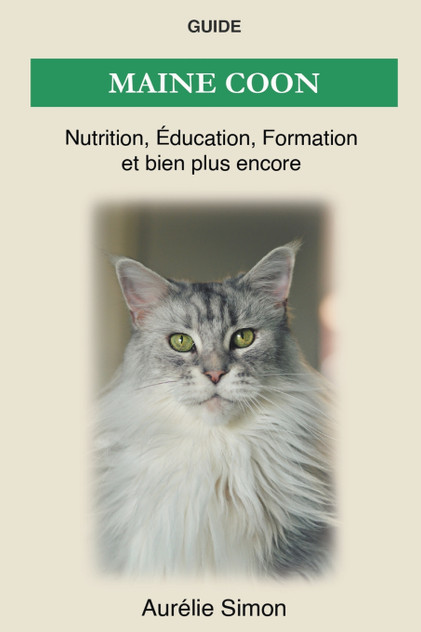 Maine Coon - Nutrition, Éducation, Formation Maine Coon - Nutrition, Éducation, Formation