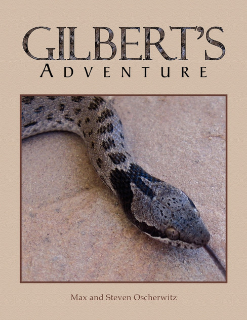Gilbert's Adventure Gilbert's Adventure