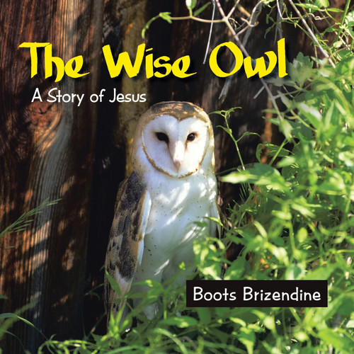 The Wise Owl The Wise Owl