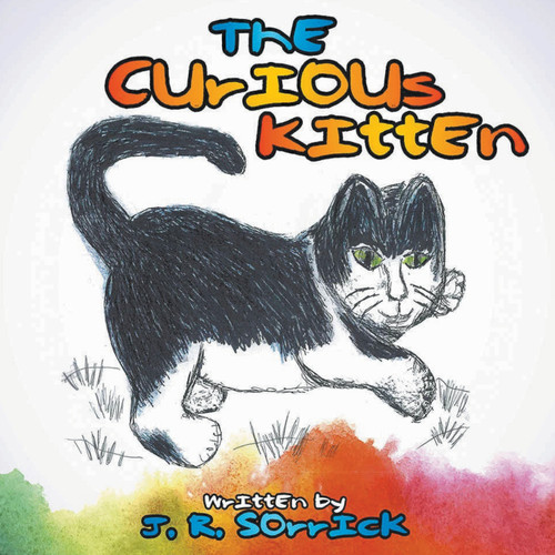 The Curious Kitten The Curious Kitten