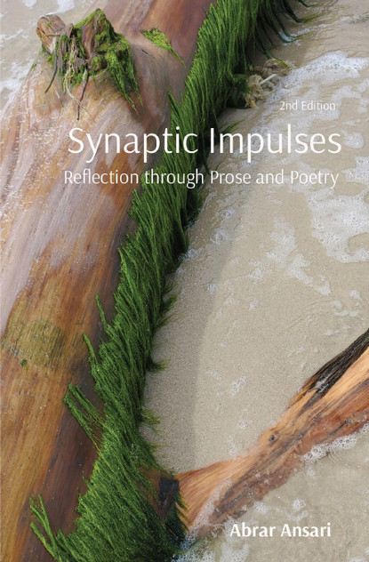 Synaptic Impulses Synaptic Impulses