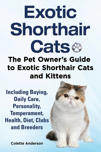 Exotic Shorthair Cats The Pet Owner's Guide to Exotic Shorthair Cats and Kittens Including Buying, Daily Care, Personality, Temperament, Health, Diet, Clubs and Breeders Exotic Shorthair Cats The Pet Owner's Guide to Exotic Shorthair Cats and Kittens Including Buying, Daily Care, Personality, Temperament, Health, Diet, Clubs and Breeders