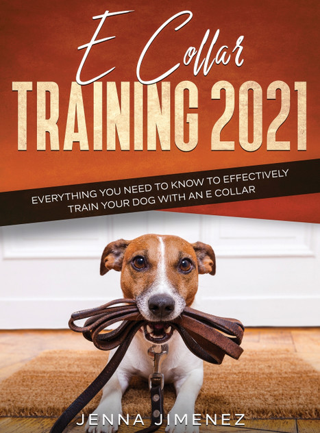 E Collar Training 2021 E Collar Training 2021