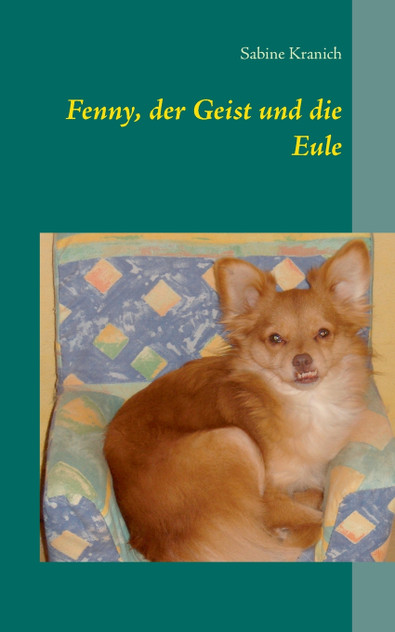 Fenny, der Geist und die Eule