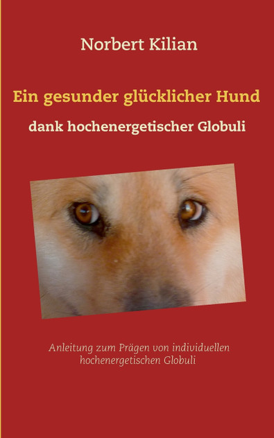 Ein gesunder glücklicher Hund dank hochenergetischer Globuli Ein gesunder glücklicher Hund dank hochenergetischer Globuli
