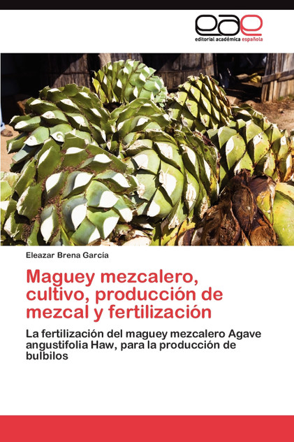 Maguey mezcalero, cultivo, producción de mezcal y fertilización Maguey mezcalero, cultivo, producción de mezcal y fertilización