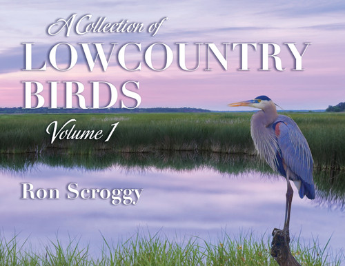 A Collection of Lowcountry Birds
