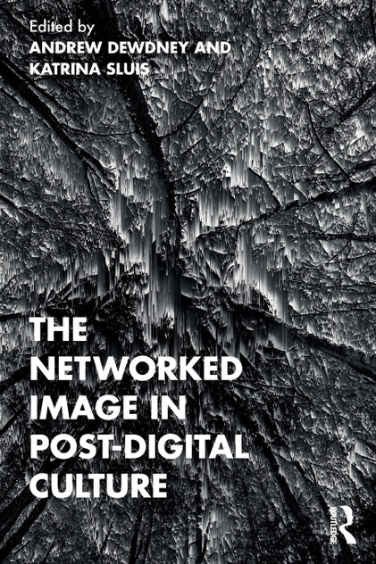 The Networked Image in Post-Digital Culture The Networked Image in Post-Digital Culture