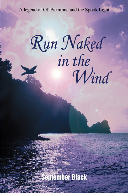 Run Naked in the Wind Run Naked in the Wind