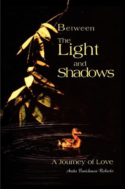 Between The Light and Shadows Between The Light and Shadows