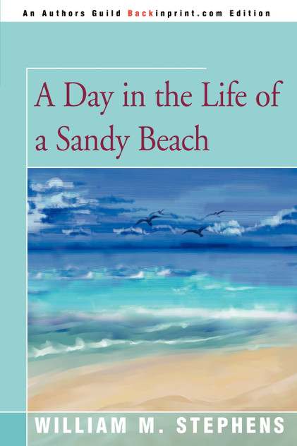 A Day in the Life of a Sandy Beach A Day in the Life of a Sandy Beach