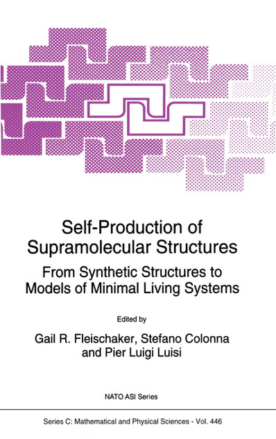 Self-Production of Supramolecular Structures