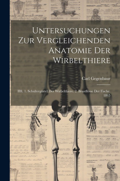 Untersuchungen Zur Vergleichenden Anatomie Der Wirbelthiere Untersuchungen Zur Vergleichenden Anatomie Der Wirbelthiere