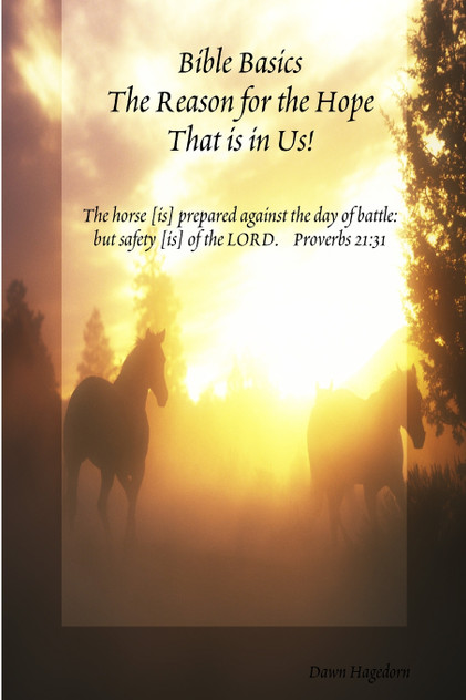 Bible Basics - The Reason for the Hope That is in Us! Bible Basics - The Reason for the Hope That is in Us!