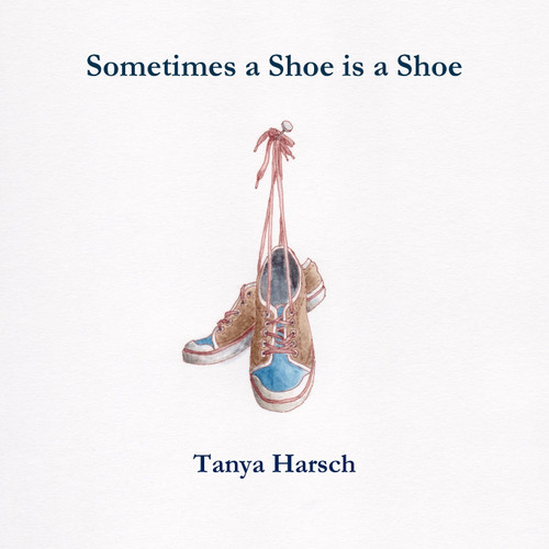 Sometimes a Shoe is a Shoe Sometimes a Shoe is a Shoe