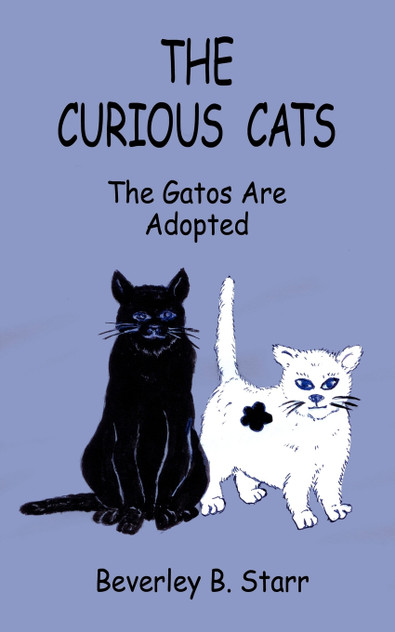 The Curious Cats The Curious Cats