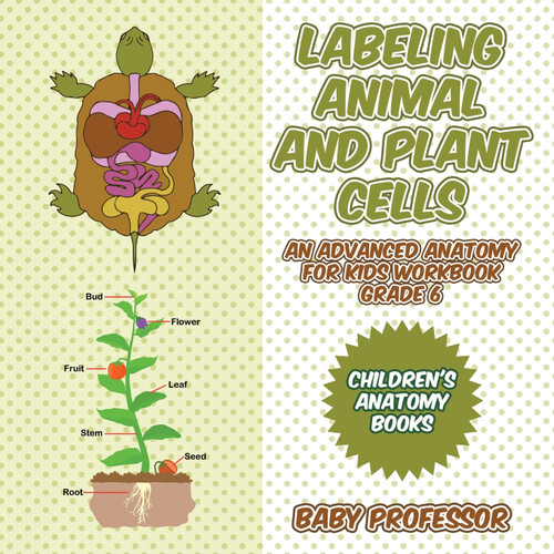 Labeling Animal and Plant Cells - An Advanced Anatomy for Kids Workbook Grade 6 | Children's Anatomy Books Labeling Animal and Plant Cells - An Advanced Anatomy for Kids Workbook Grade 6 | Children's Anatomy Books