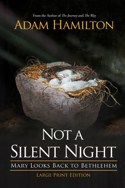 Not a Silent Night Not a Silent Night