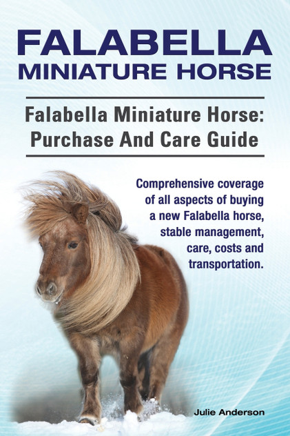 Falabella Miniature Horse. Falabella Miniature horse Falabella Miniature Horse. Falabella Miniature horse
