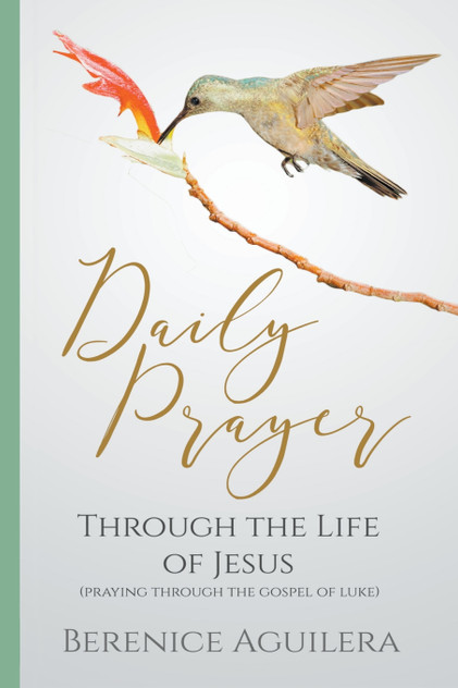 Daily Prayer through the Life of Jesus (Praying through the Gospel of Luke) Daily Prayer through the Life of Jesus (Praying through the Gospel of Luke)