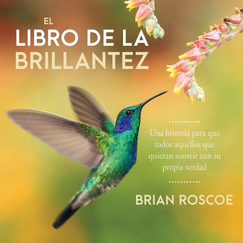 El libro de la brillantez El libro de la brillantez
