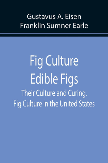 Fig Culture Edible Figs Fig Culture Edible Figs