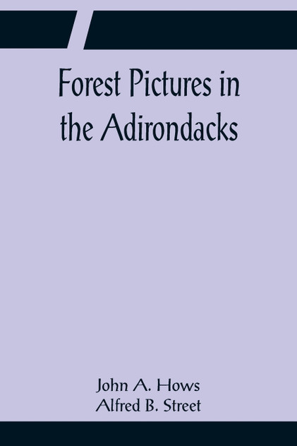 Forest Pictures in the Adirondacks Forest Pictures in the Adirondacks