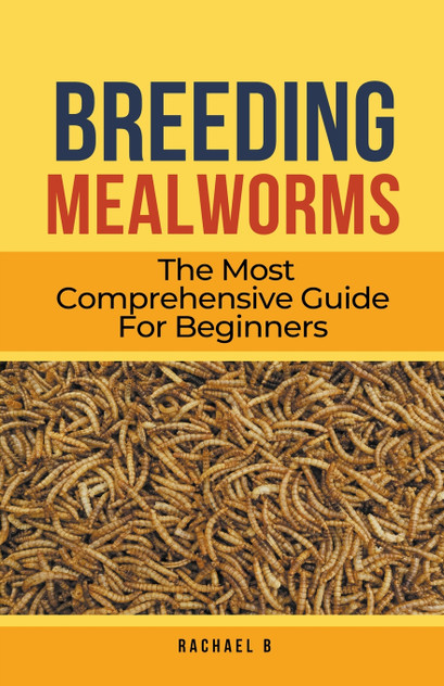 Breeding Mealworms Breeding Mealworms