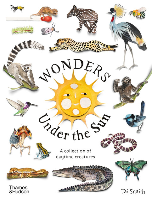 Wonders Under the Sun Wonders Under the Sun