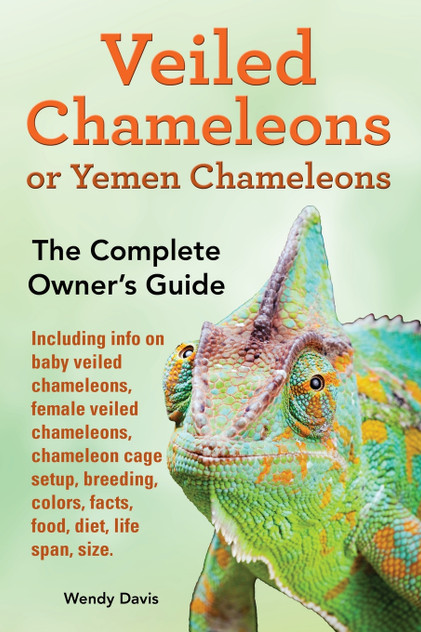 Veiled Chameleons or Yemen Chameleons as pets. info on baby veiled chameleons, female veiled chameleons, chameleon cage setup, breeding, colors, facts, food, diet, life span, size. Veiled Chameleons or Yemen Chameleons as pets. info on baby veiled chameleons, female veiled chameleons, chameleon cage setup, breeding, colors, facts, food, diet, life span, size.