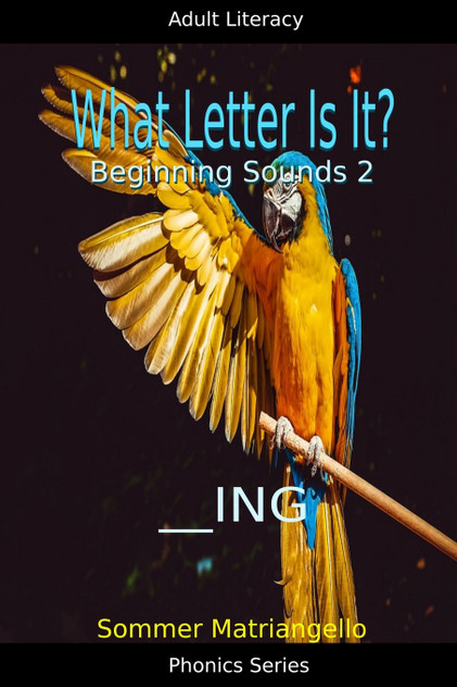 What Letter Is It? Beginning Sounds 2 What Letter Is It? Beginning Sounds 2