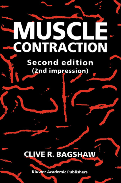 Muscle Contraction Muscle Contraction