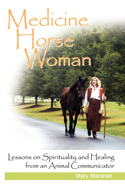 Medicine Horse Woman Medicine Horse Woman