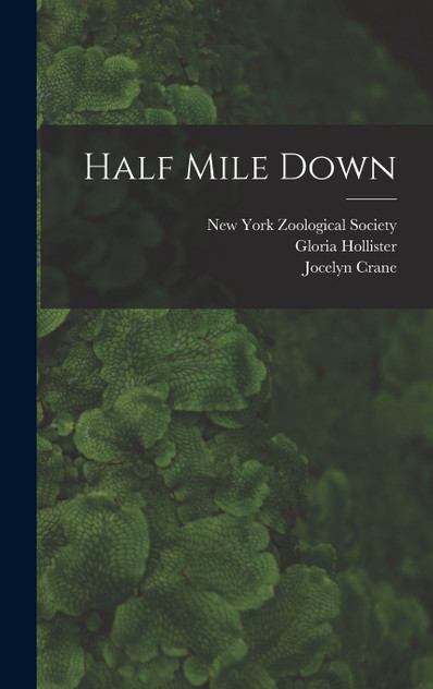Half Mile Down Half Mile Down
