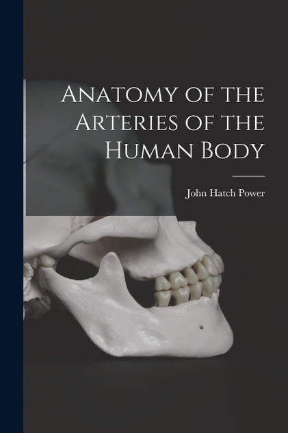 Anatomy of the Arteries of the Human Body Anatomy of the Arteries of the Human Body