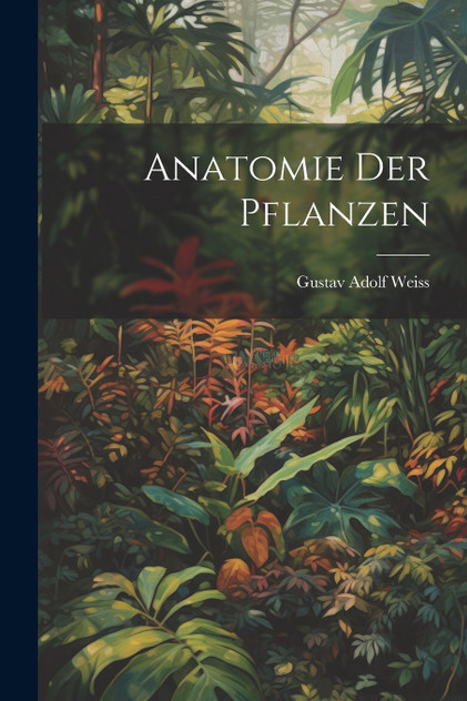 Anatomie Der Pflanzen Anatomie Der Pflanzen