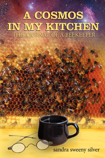 A Cosmos in my Kitchen