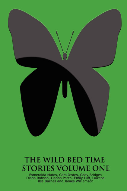 The Wild Bed Time Stories