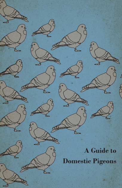 A Guide to Domestic Pigeons - With Chapters on Doves, Training and Their Habits A Guide to Domestic Pigeons - With Chapters on Doves, Training and Their Habits