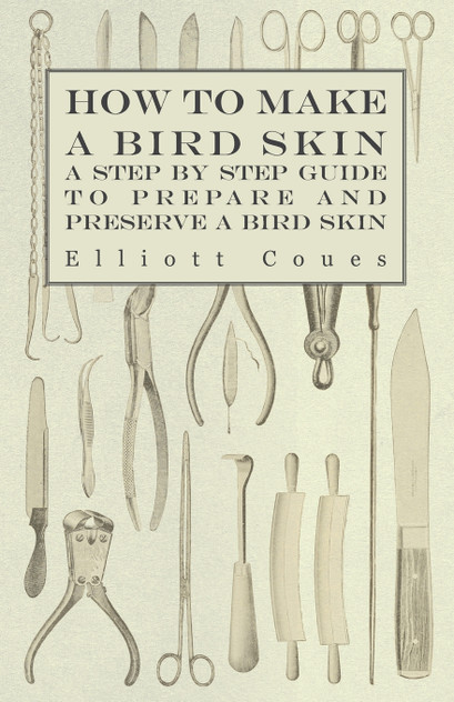 How to Make a Bird Skin - A Step by Step Guide to Prepare and Preserve a Bird Skin How to Make a Bird Skin - A Step by Step Guide to Prepare and Preserve a Bird Skin