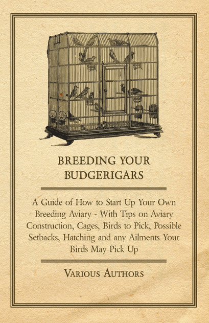Breeding Your Budgerigars - A Guide of How to Start Up Your Own Breeding Aviary;With Tips on Aviary Construction, Cages, Birds to Pick, Possible Setbacks, Hatching and any Ailments Your Birds May Pick Up
