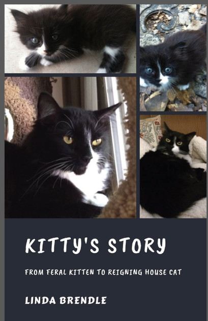 KITTY'S STORY KITTY'S STORY