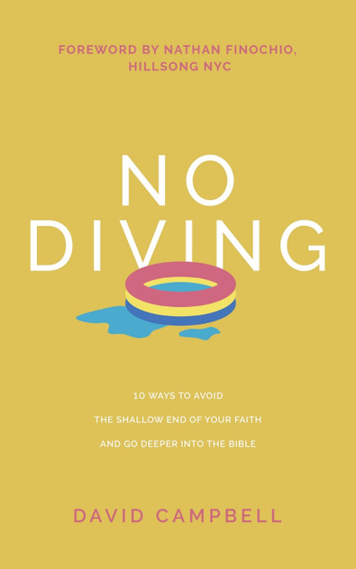 No Diving No Diving