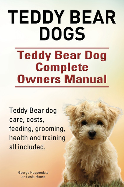 Teddy Bear dogs. Teddy Bear Dog Complete Owners Manual. Teddy Bear dog care, costs, feeding, grooming, health and training all included. Teddy Bear dogs. Teddy Bear Dog Complete Owners Manual. Teddy Bear dog care, costs, feeding, grooming, health and training all included.