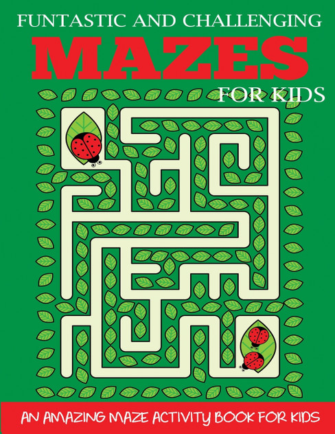 Funtastic and Challenging Mazes for Kids