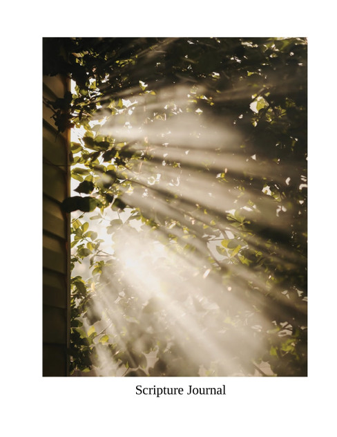 Scripture Study Journal Scripture Study Journal