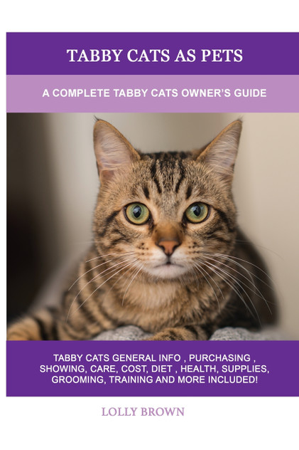 Tabby Cats as Pets Tabby Cats as Pets