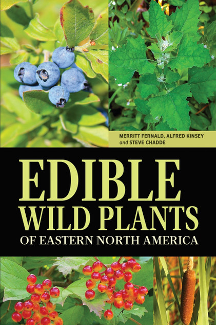Edible Wild Plants of Eastern North America Edible Wild Plants of Eastern North America